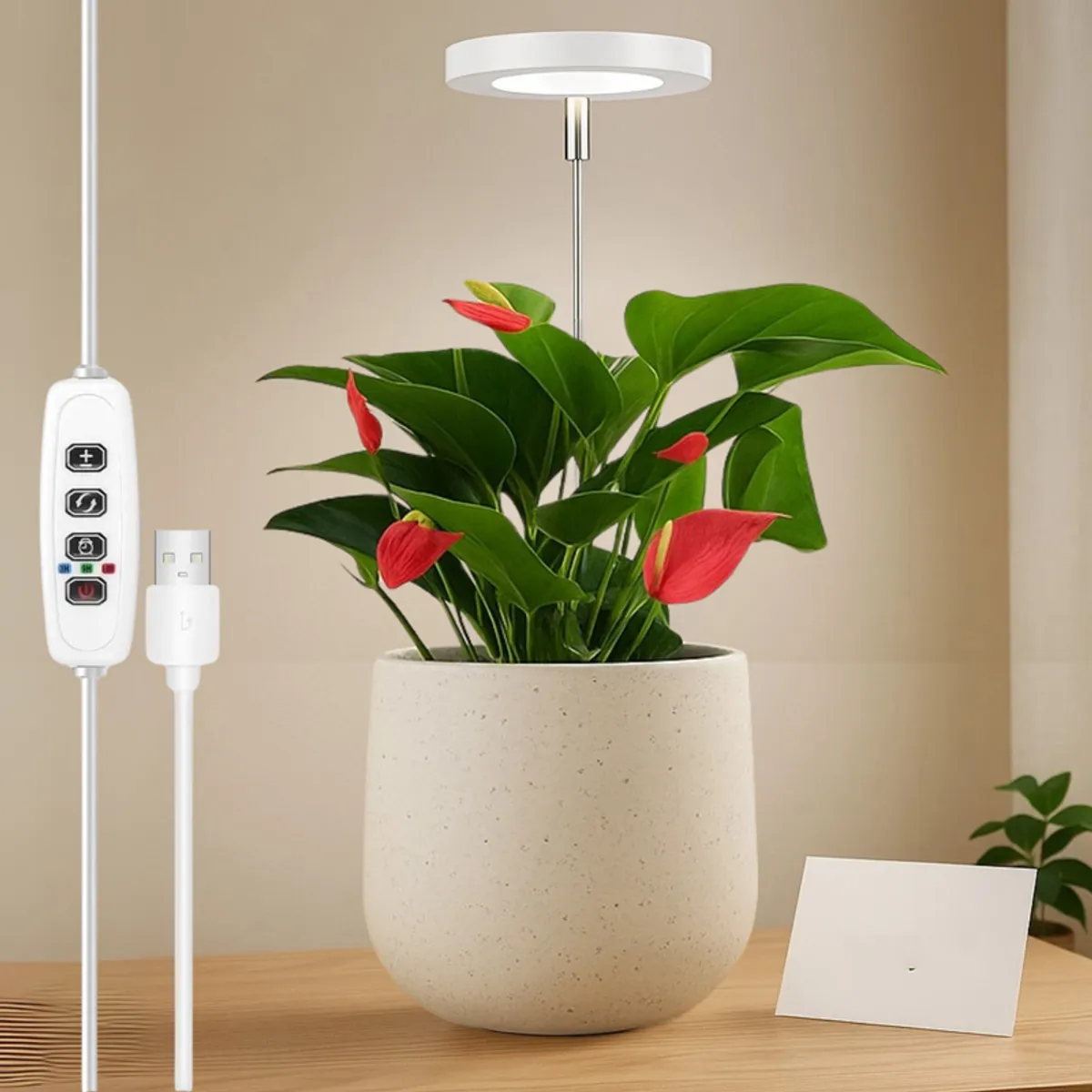 White ring grow light positioned above a flowering plant in a neutral room