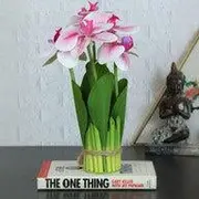 Orchids category