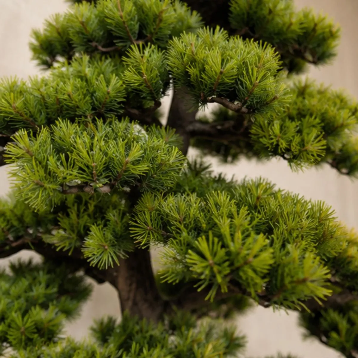 Close-up of dense green artificial bonsai foliage and dark textured branches