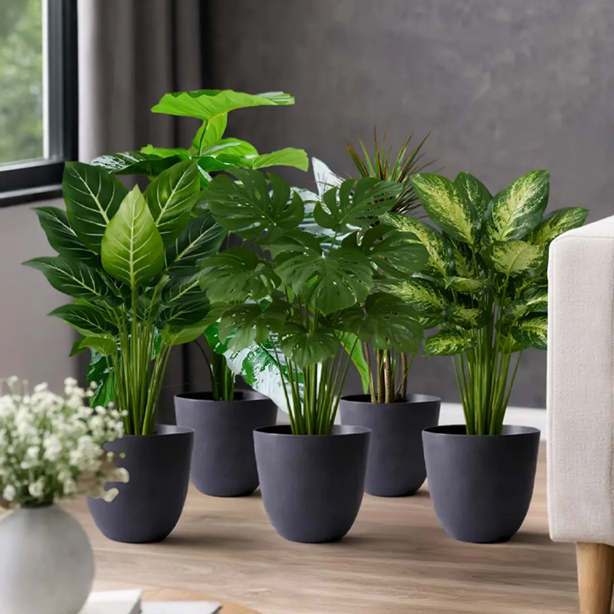 Black matte planters with dense green foliage placed beside a sofa