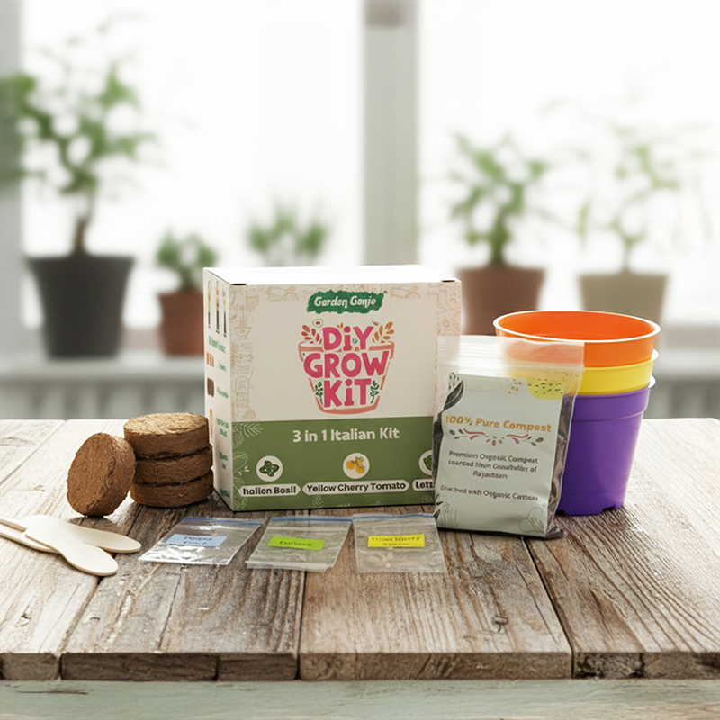 DIY Italian Veggies Grow Kit