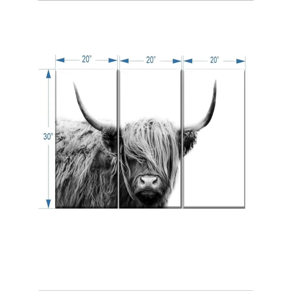 Three-panel Highland bull canvas artwork with visible size markings