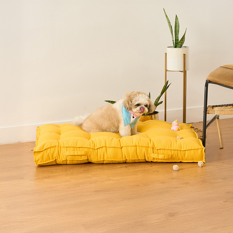 Mustard Yellow