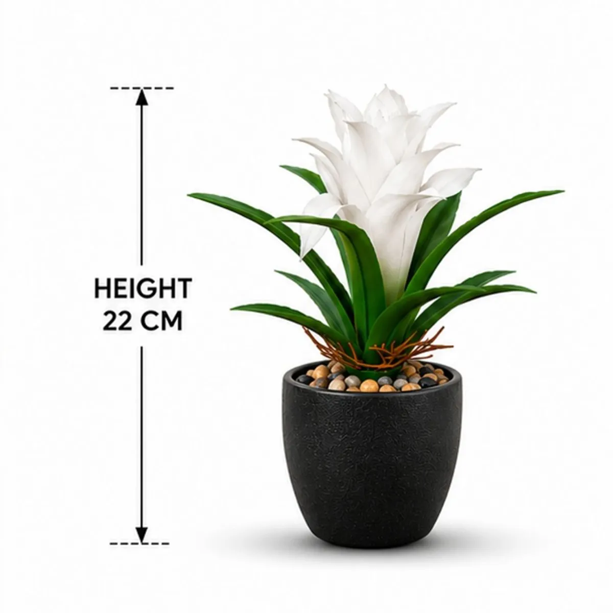 White artificial bromeliad shown with 22 cm height reference