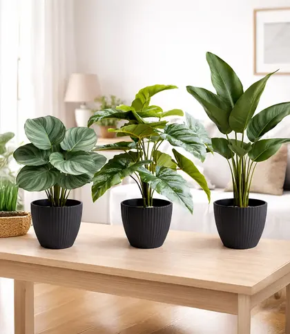Melamine