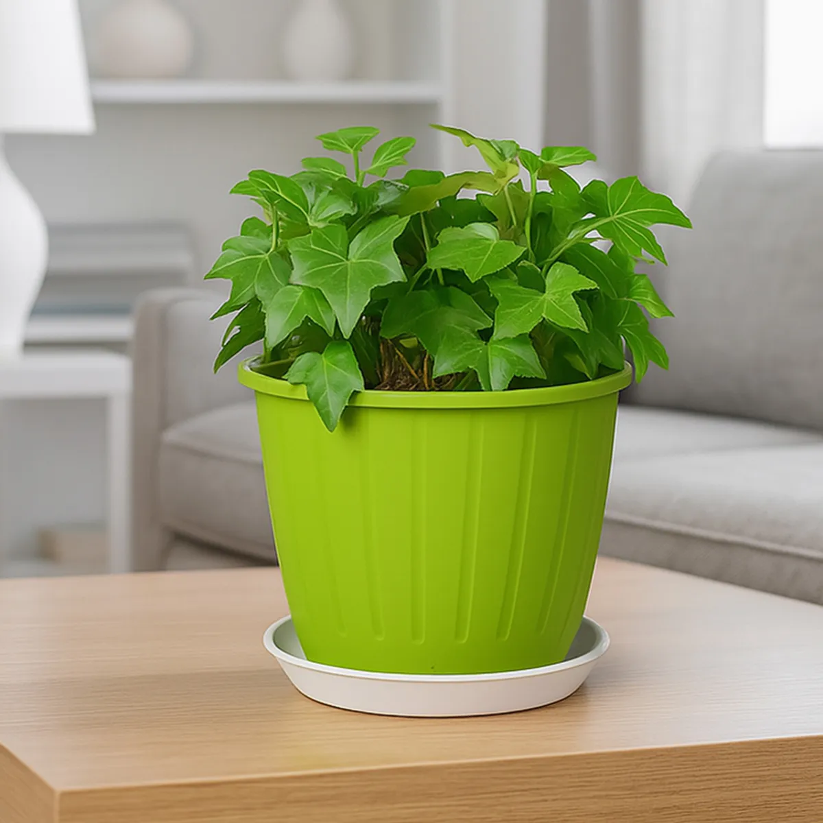 Green leafy plant in a ribbed planter with white tray on a wooden table