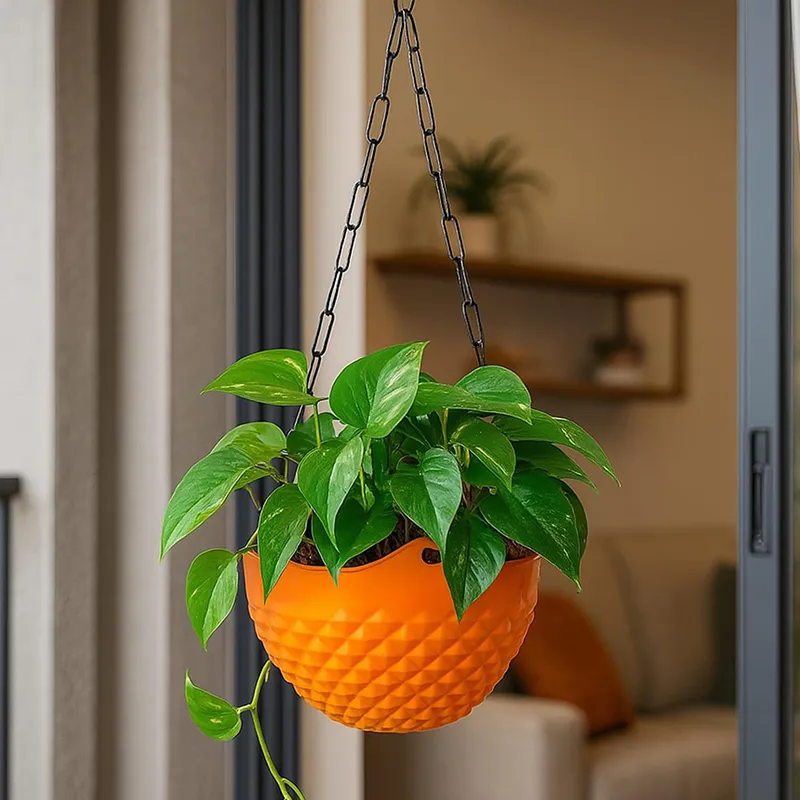 Single orange hanging planter with green foliage near a window