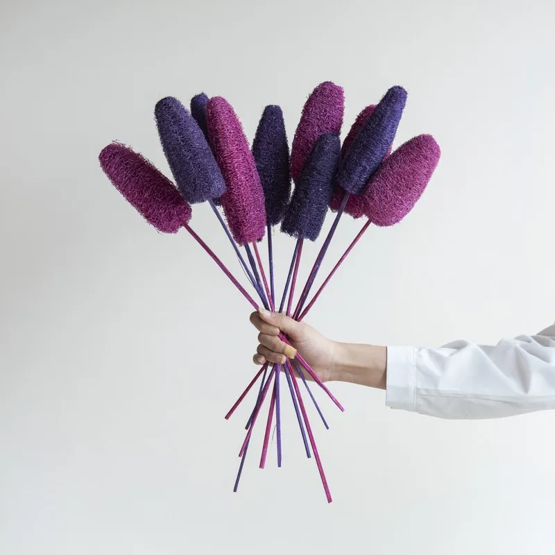 Hand holding a bunch of pink and purple dried luffah stems