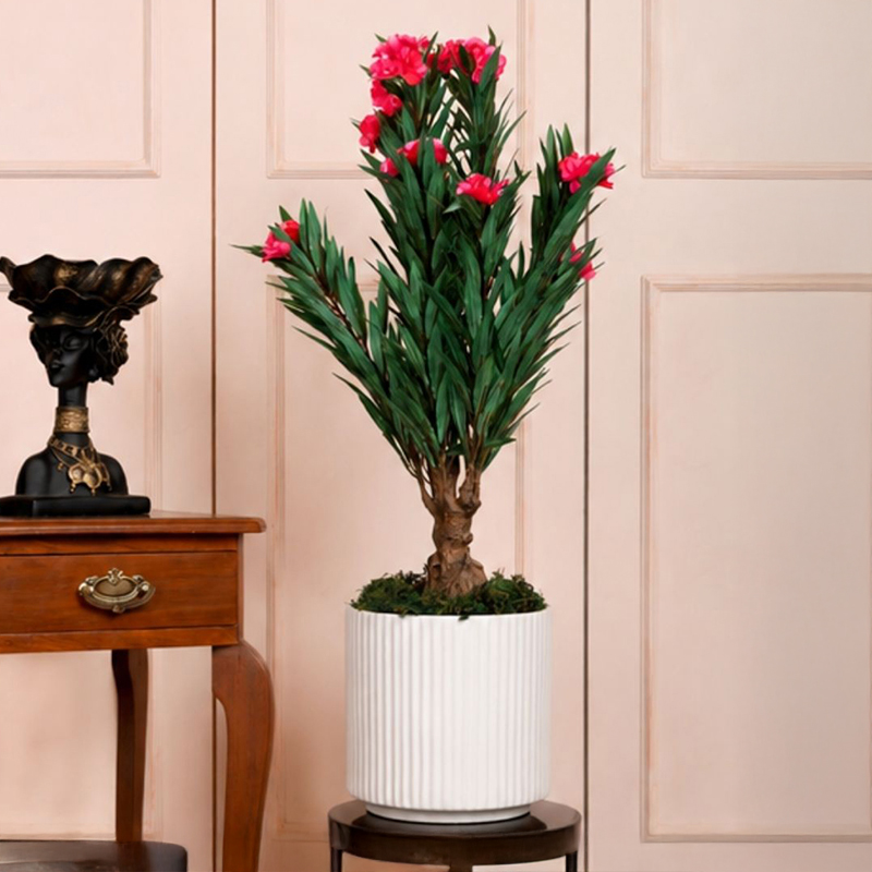 80 cm (2.6 ft) Artificial Plant Comes With a Black Plastic Pot (Pink)