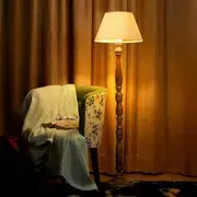 Floor Lamps category