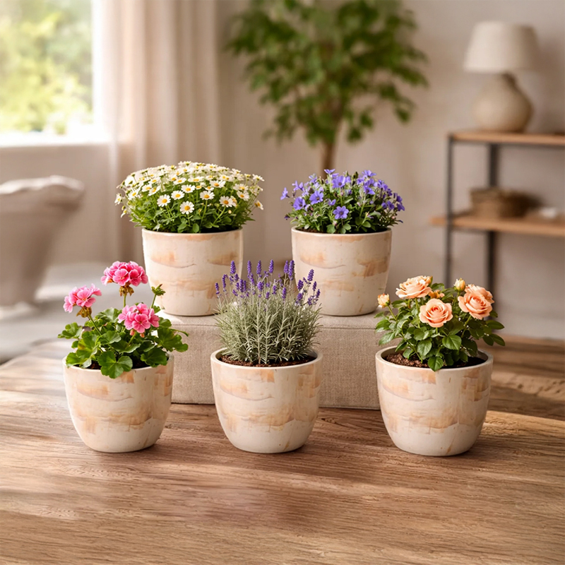 Set of Five