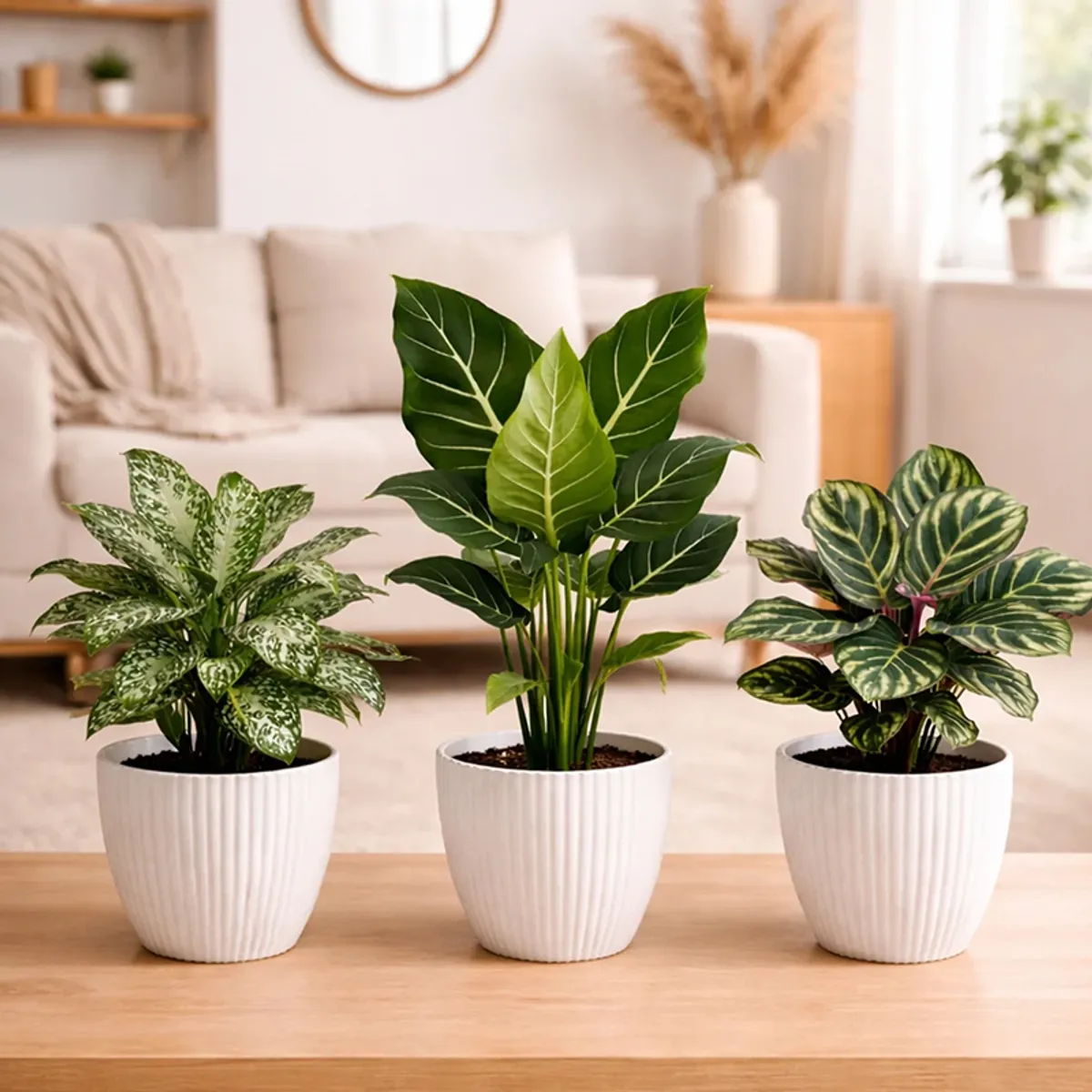 Set of three white ribbed planters with green plants styled on a tabletop