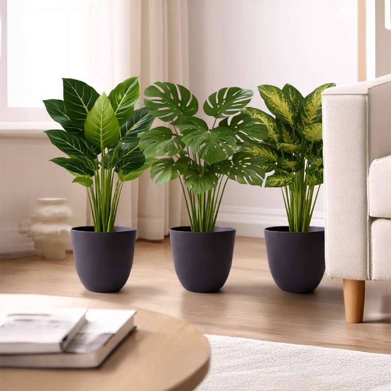 Set of Three