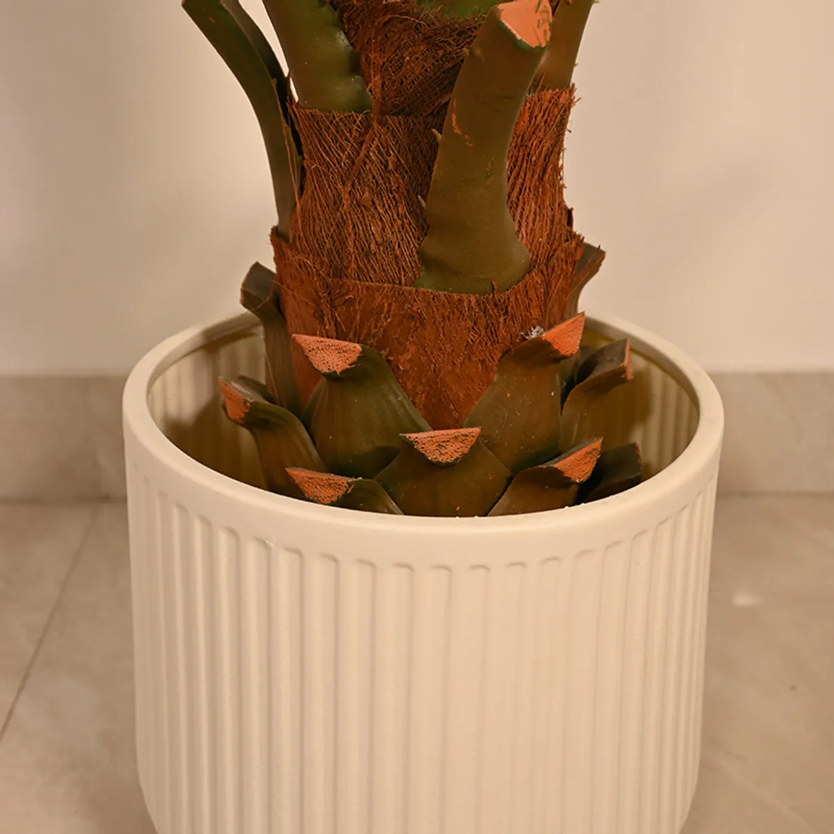Close-up of a beige ribbed planter holding a green plant with a brown trunk.