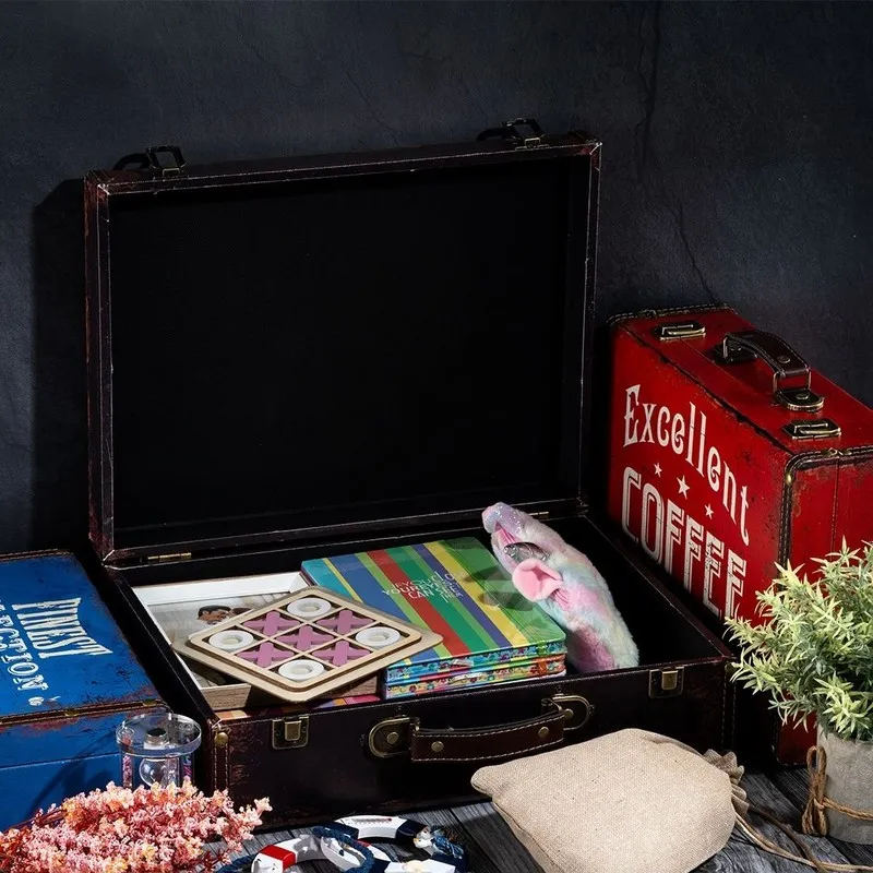 Open vintage-style storage trunk box showing spacious black interior