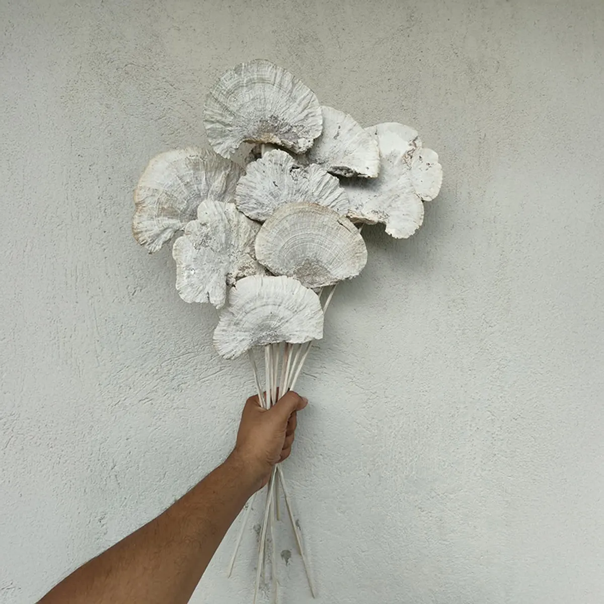 Palm Spear Sola Wood Artificial Flower (Beige) - Set of Ten