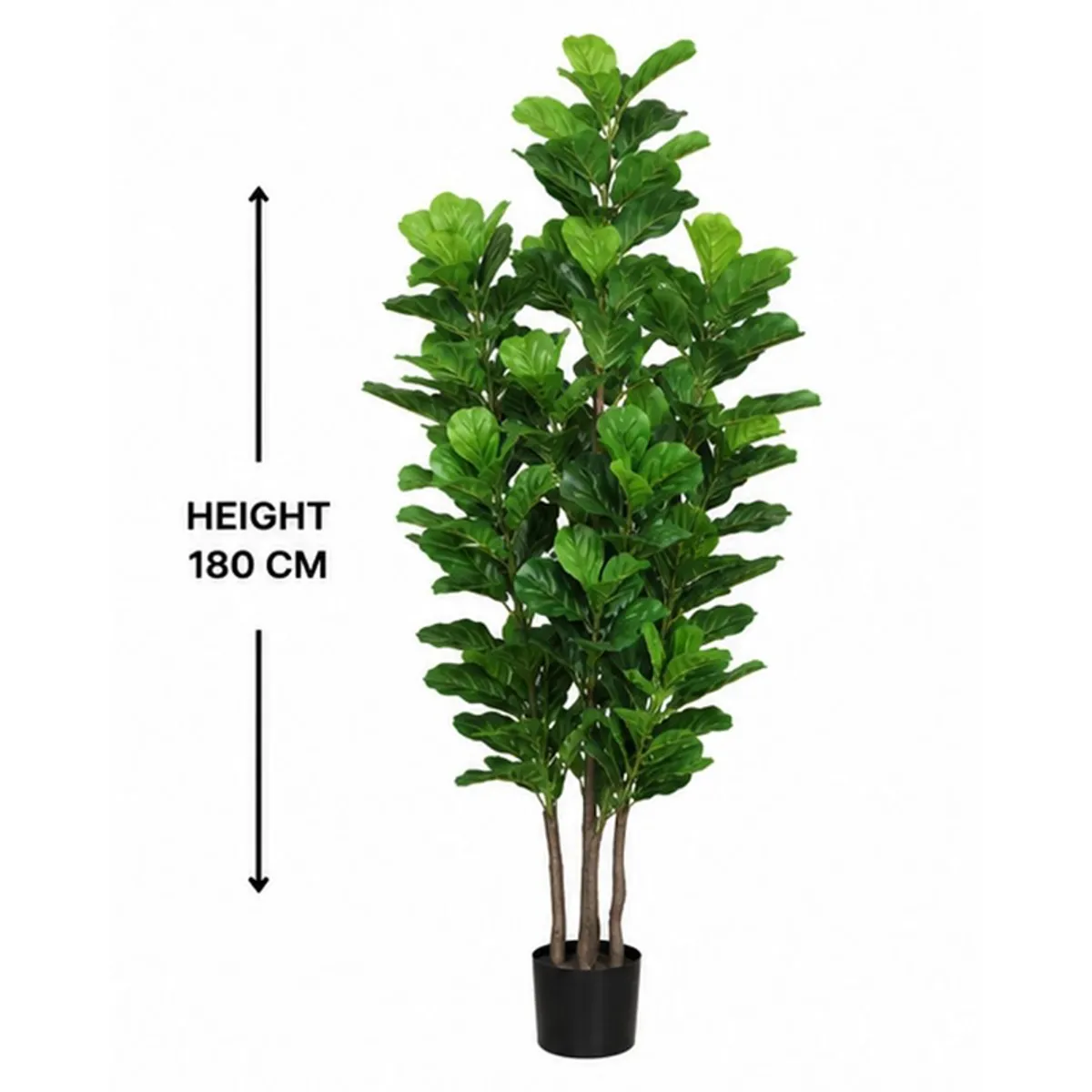 Full artificial fiddle leaf fig tree showing its 180 cm height and black pot