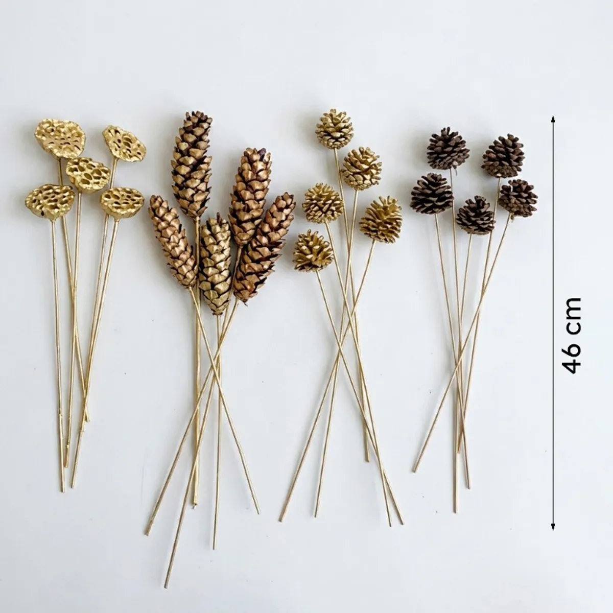 Four groups of dried flower sticks shown with a 46 cm height reference