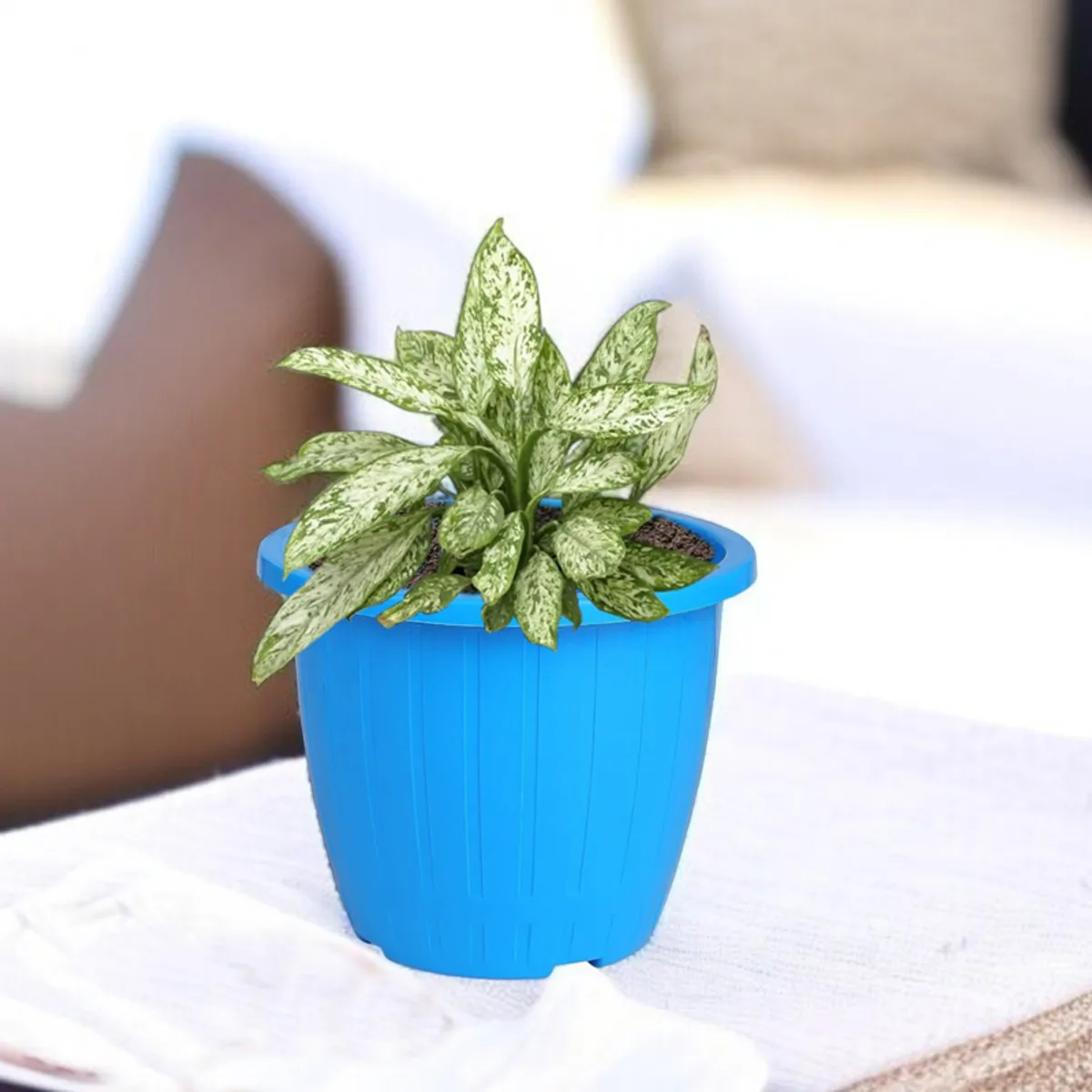 Blue plastic planter holding a leafy indoor plant
