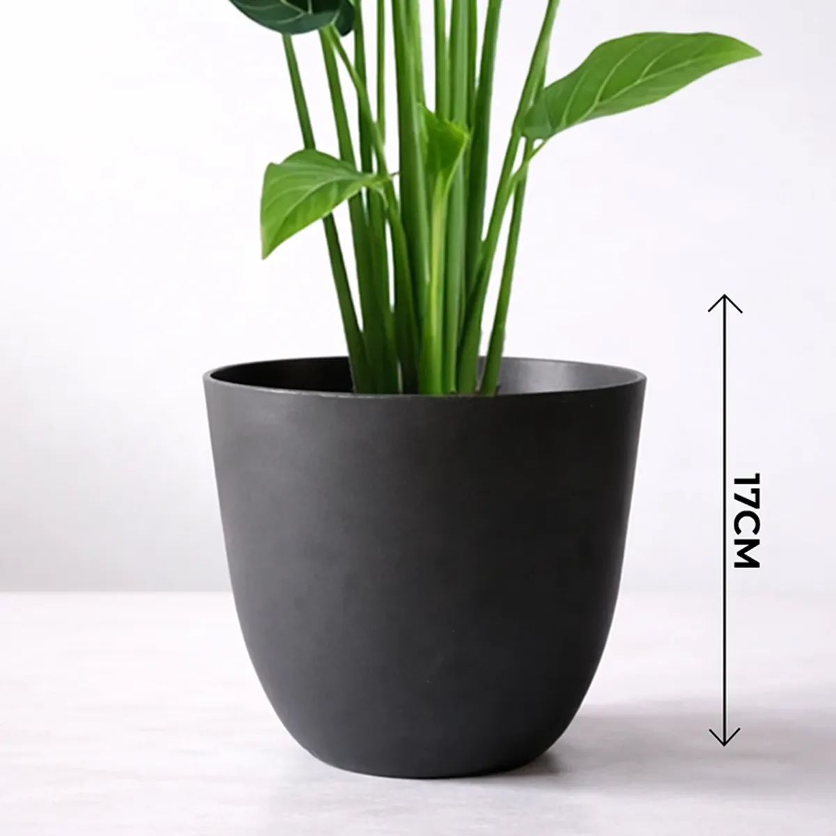 Close-up of a black matte cylindrical planter with green stems