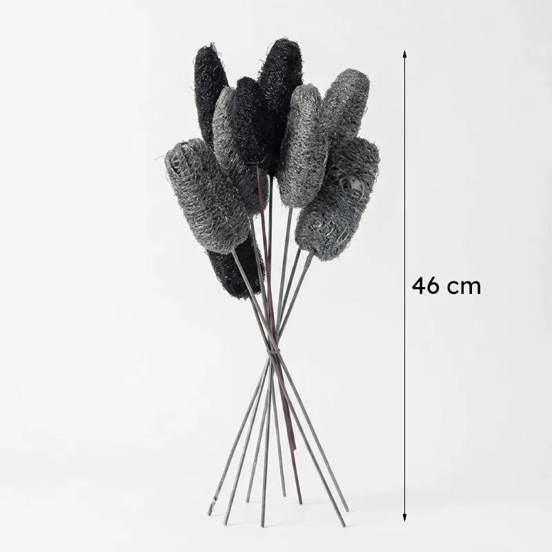 Bundle of black and grey dried luffah stems on a white background
