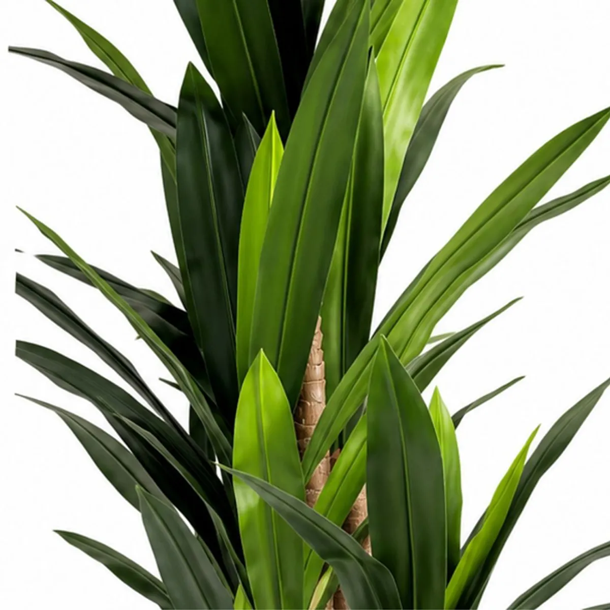 Close-up of elongated dark and bright green artificial dracaena leaves with visible cane trunks