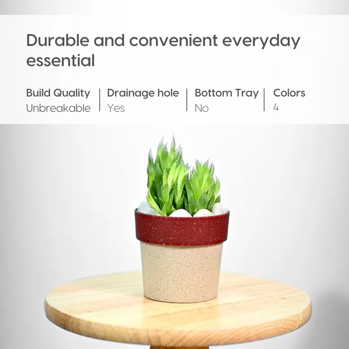 Single red-rim textured planter with a green plant on a round wooden stool