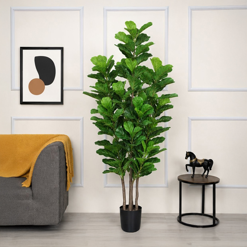 Fiddle Leaf I