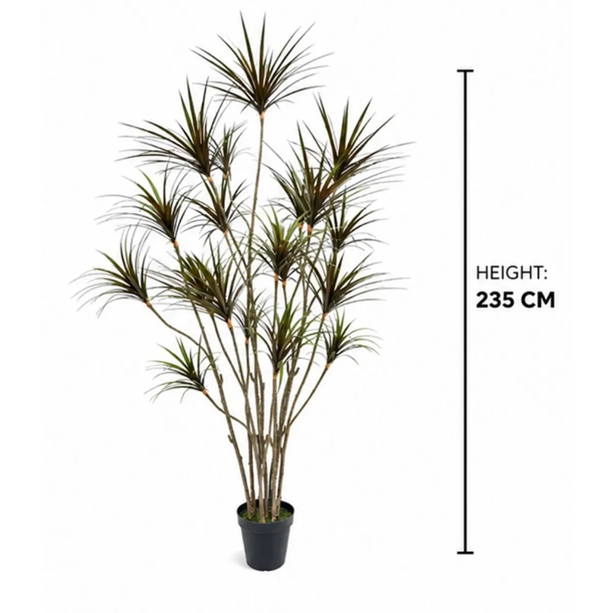 Full artificial Dracaena Marginata plant in a black pot shown at 235 cm height