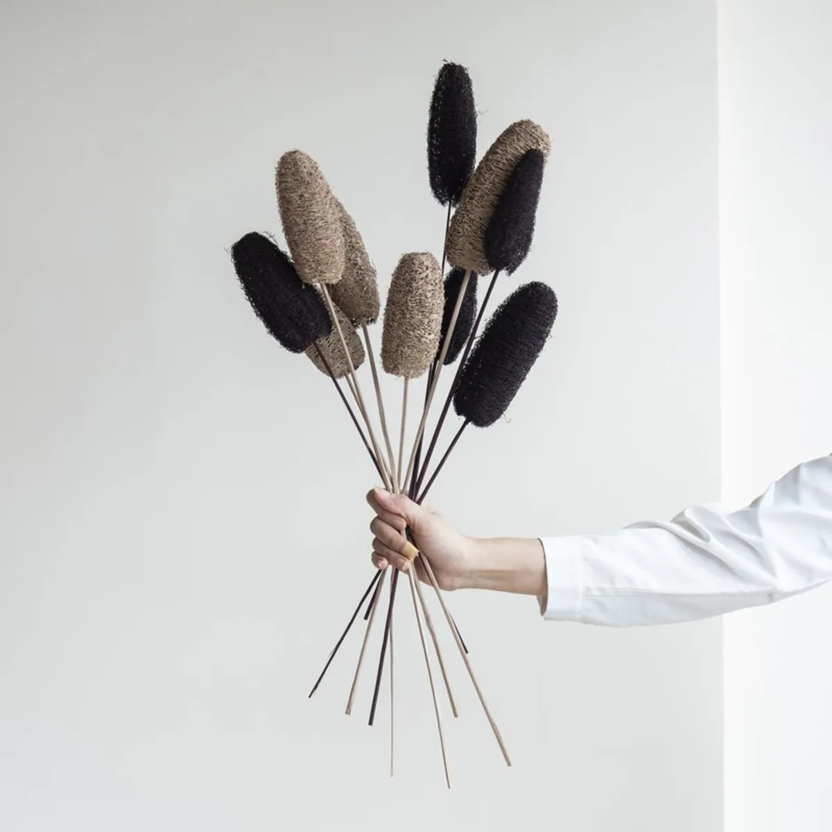 Hand holding a bunch of black and beige dried luffah stems