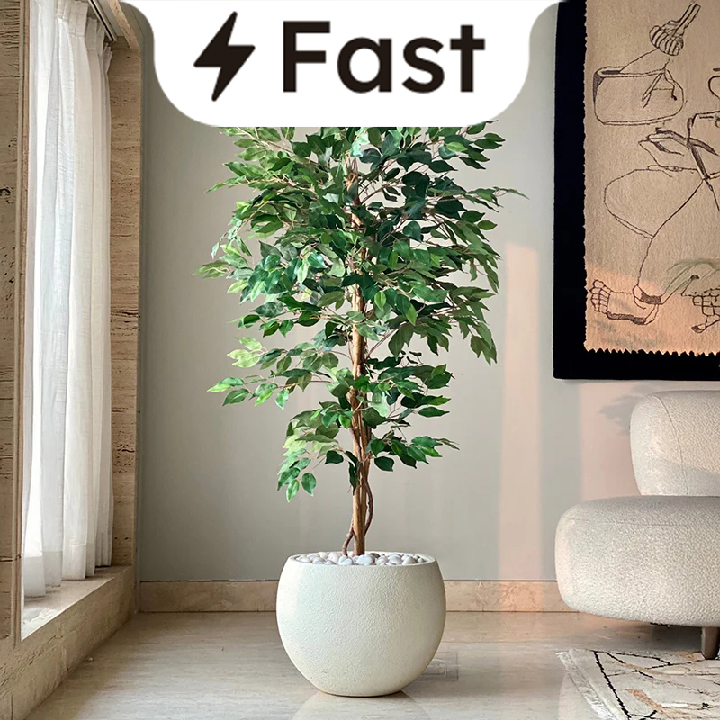 Fast Delivery category