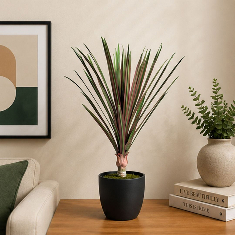 35 cm (1.1 ft) Greenery Artificial Dracaena Marginata Plant