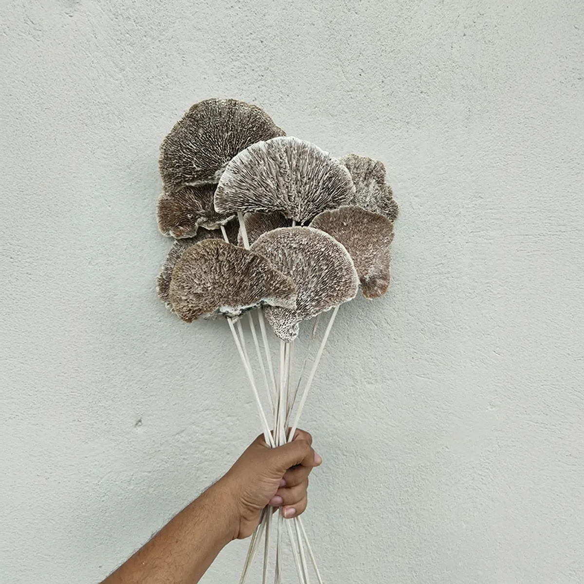Palm Spear Sola Wood Artificial Flower (Beige) - Set of Ten