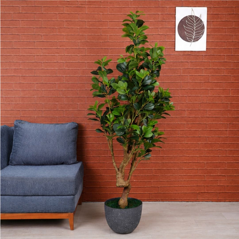 160 cm (5.2 ft) Canopy Peperomia Artificial Plant