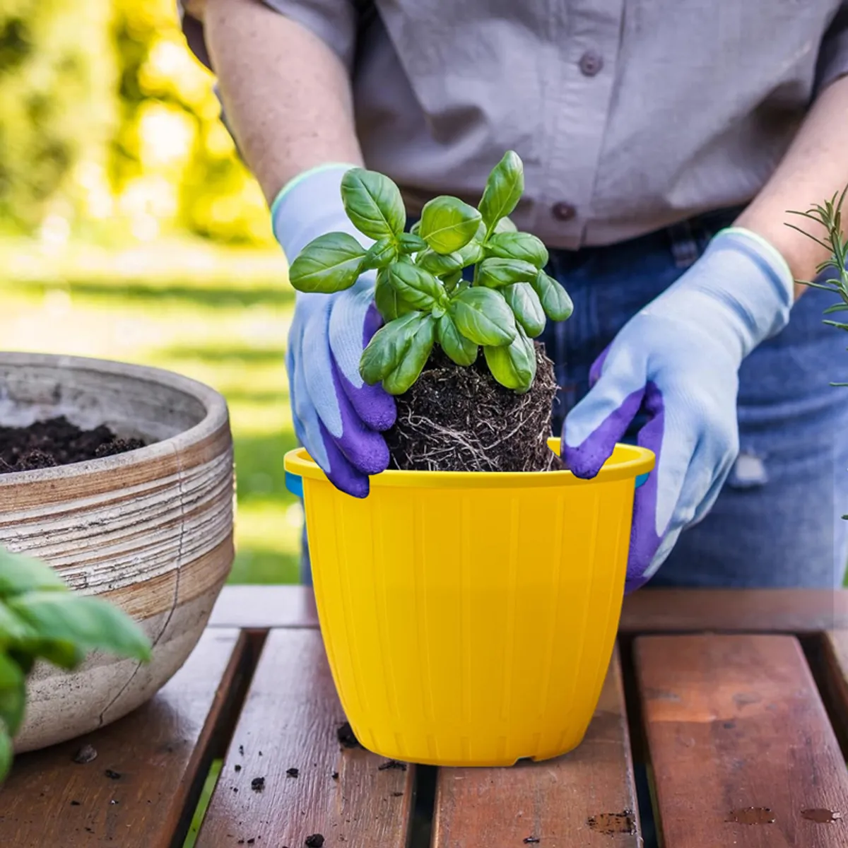 Hands placing a small plant into a yellow planter outdoors