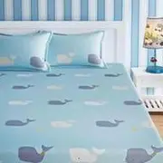Queen Fitted Kids Bedsheets category