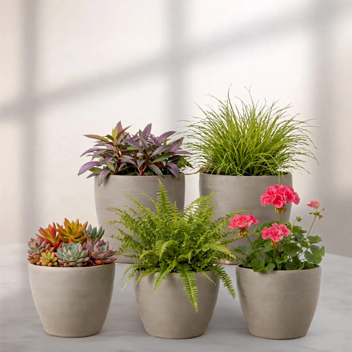 Set of five grey cylindrical planters with mixed foliage and flowering plants