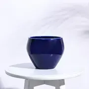 Ceramic pots category