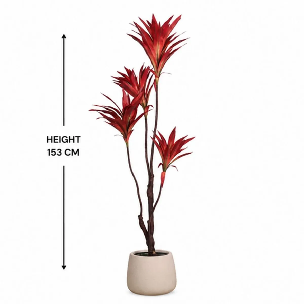 Red artificial Dracaena tree shown with a 153 cm height reference
