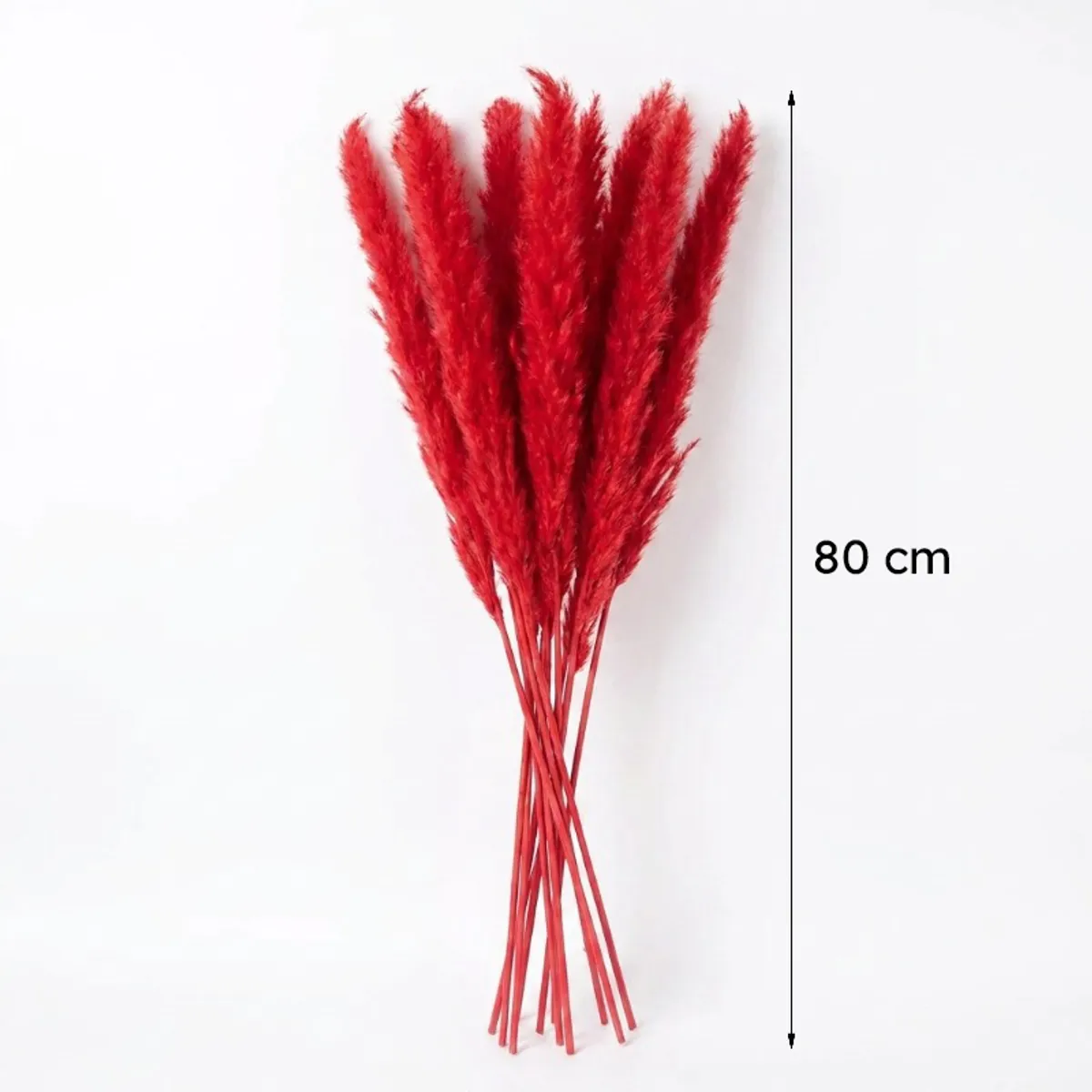 Ten red dried grass sticks shown with an 80 cm height marker