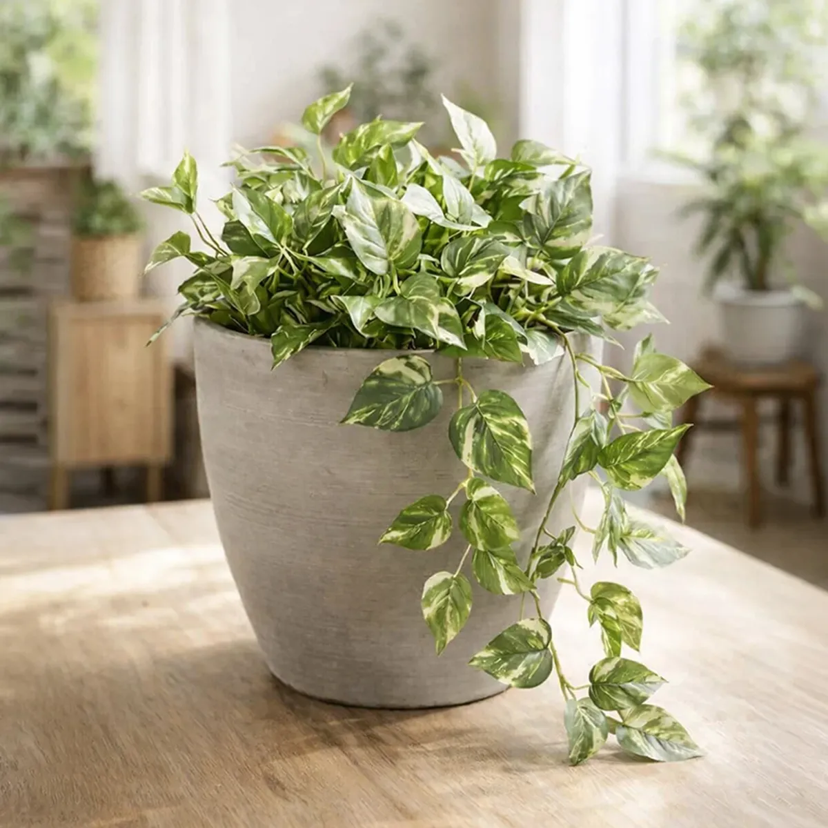 Grey planter with cascading green foliage styled on a wooden table