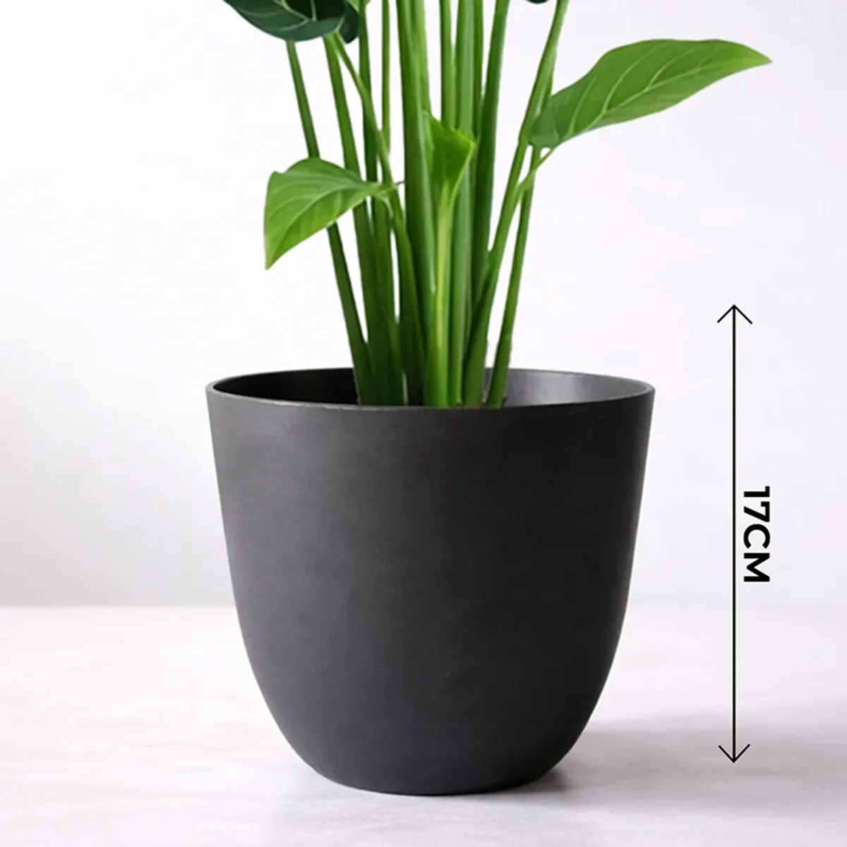 Close-up of a black matte planter with green stems and leaves