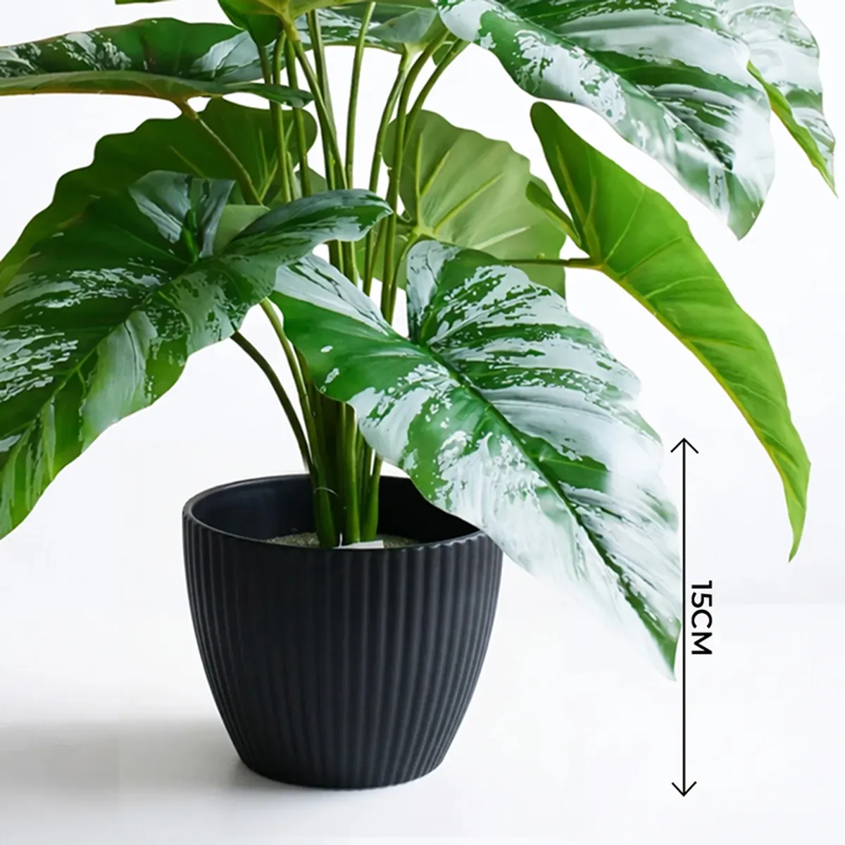 Close-up of a black ribbed planter with green leaves