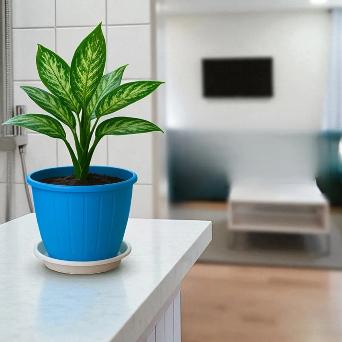 Blue planter with a leafy green plant and white tray on a kitchen counter