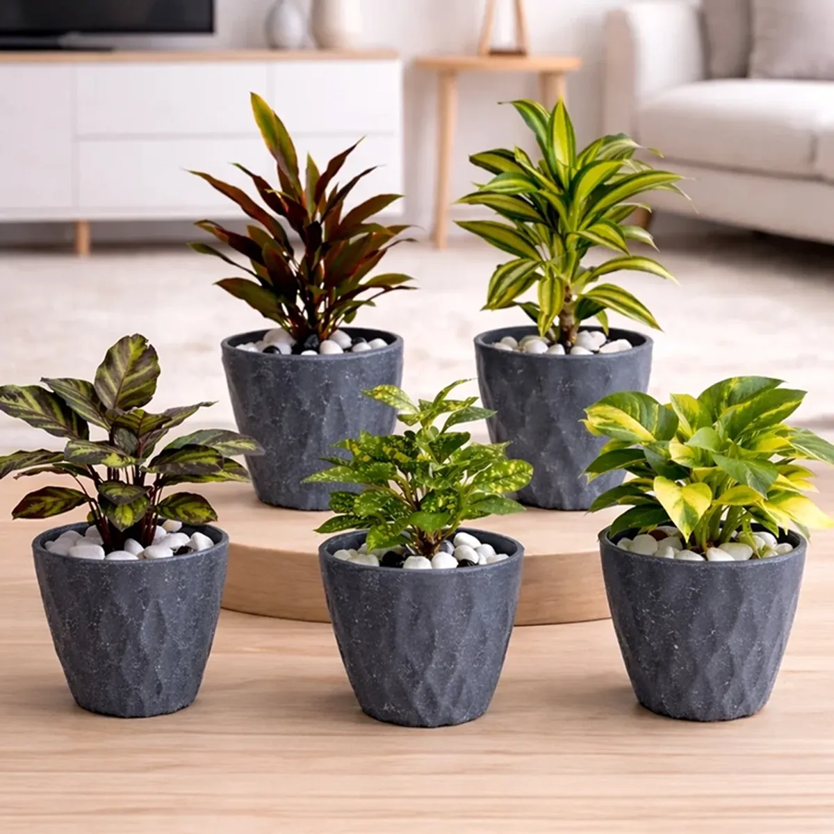 Grey cylindrical planters with textured surface displayed with decorative plants