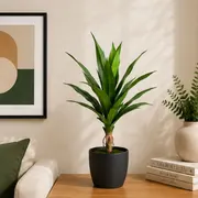 Small Plants category