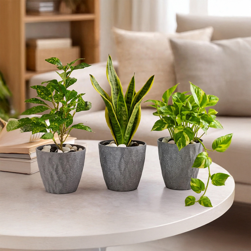 Set of Three