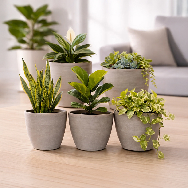 Set of Five