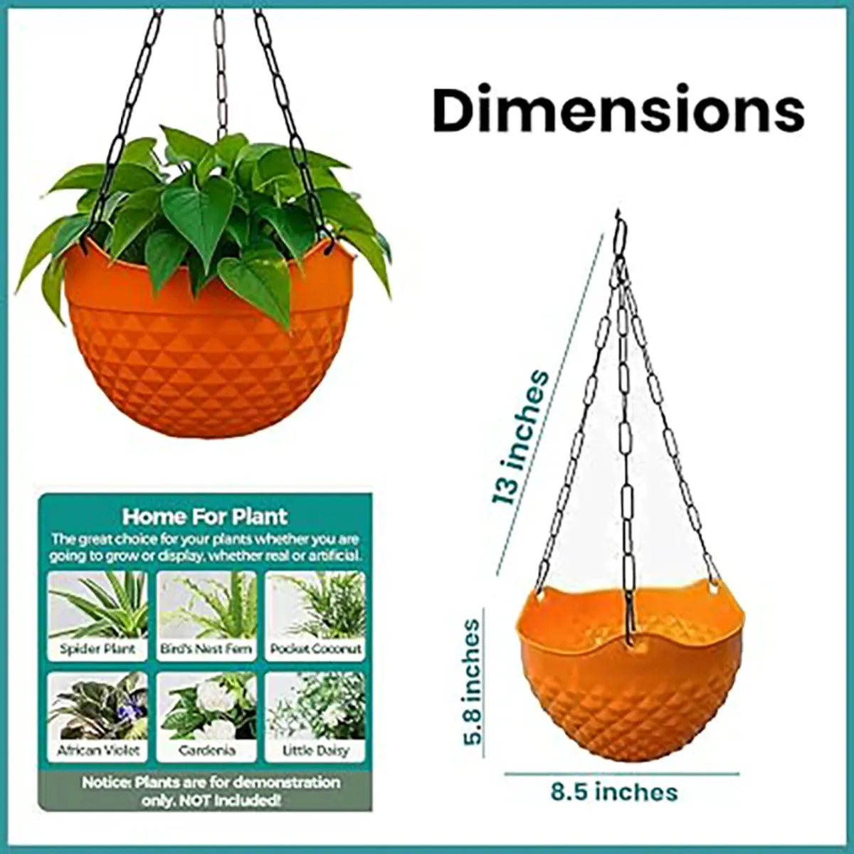 Orange hanging planter with a leafy plant and labelled visible dimensions.