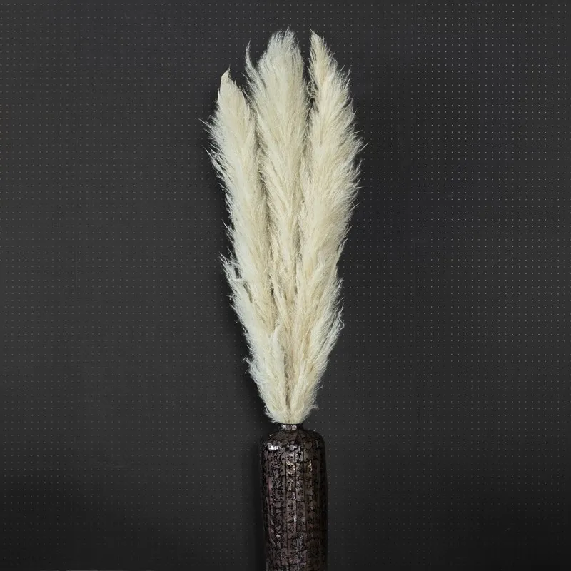 Three ivory pampas stems displayed in a dark textured vase